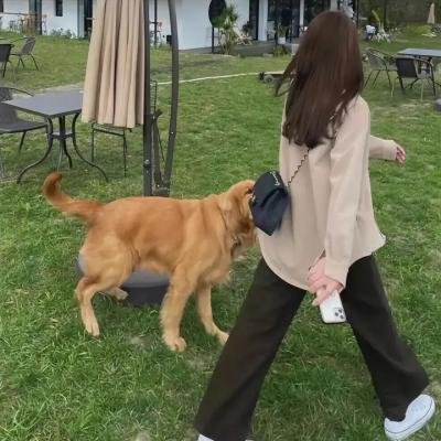 叶问4:完结篇